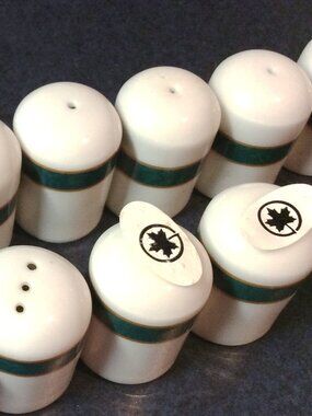 Vintage Air Canada Royal Doulton Business Class Salt & Pepper Shakers